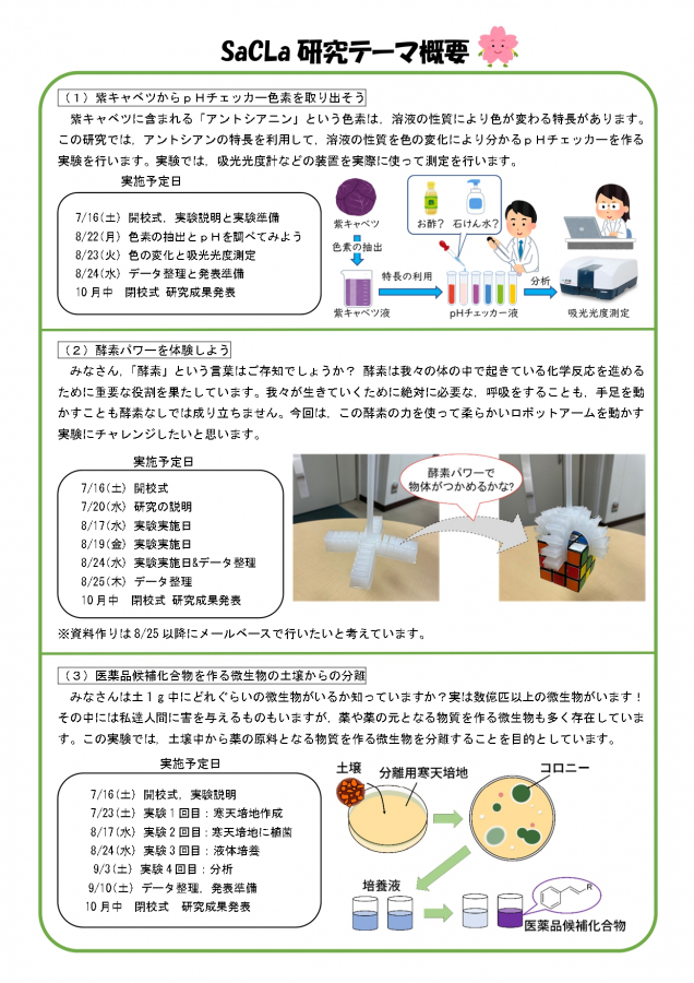 SaCLa 研究テーマ概要