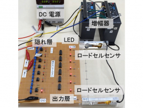 生物の判別法を参考にした高速な判別回路