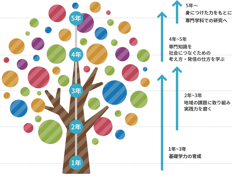 1年～3年 基礎学力の育成、2年～3年 地域の課題に取り組み実践力を磨く、4年～5年 専門知識を社会につなぐための考え方・発信の仕方を学ぶ、5年～ 身につけた力をもとに専門学科での研究へ